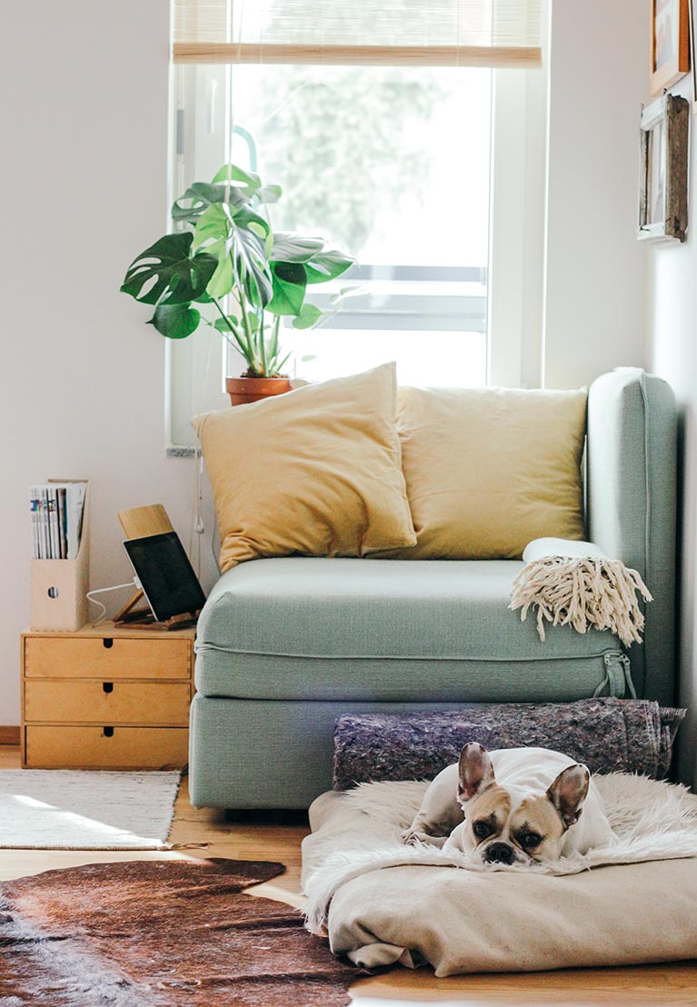 Buy property in Wilmington or Southport, NC