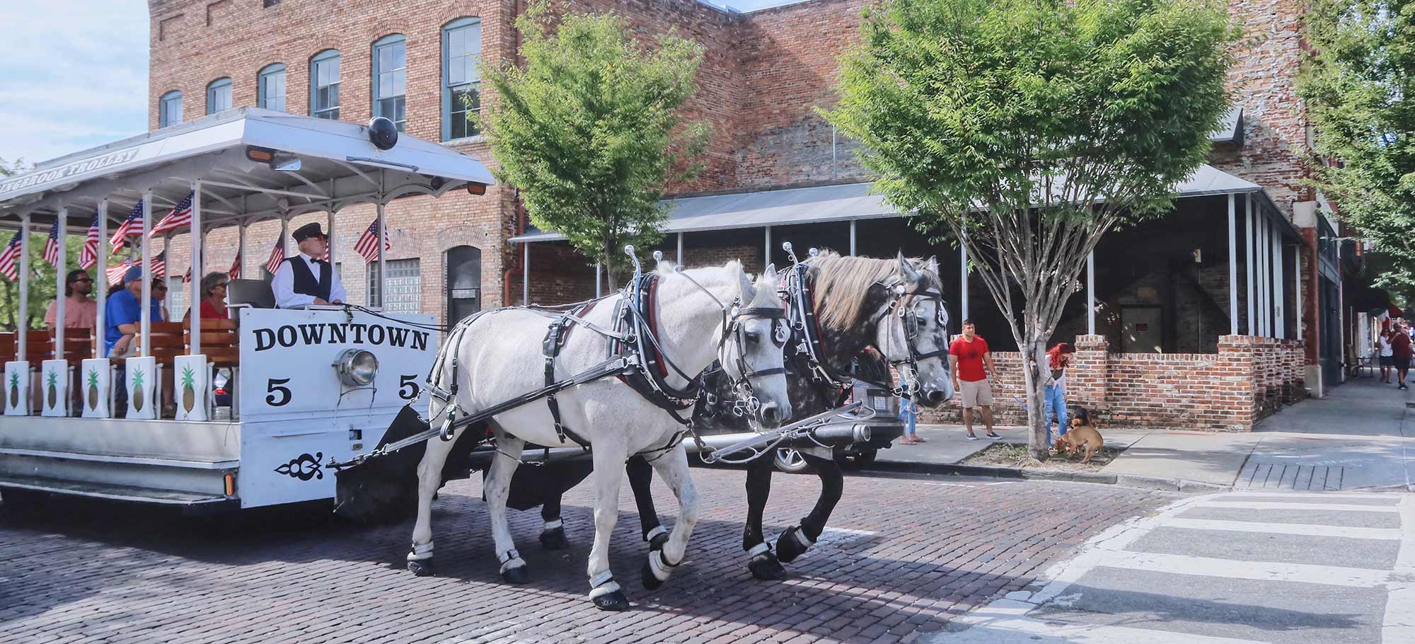Downtown Historic Wilmington, NC